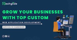 custom web application development services